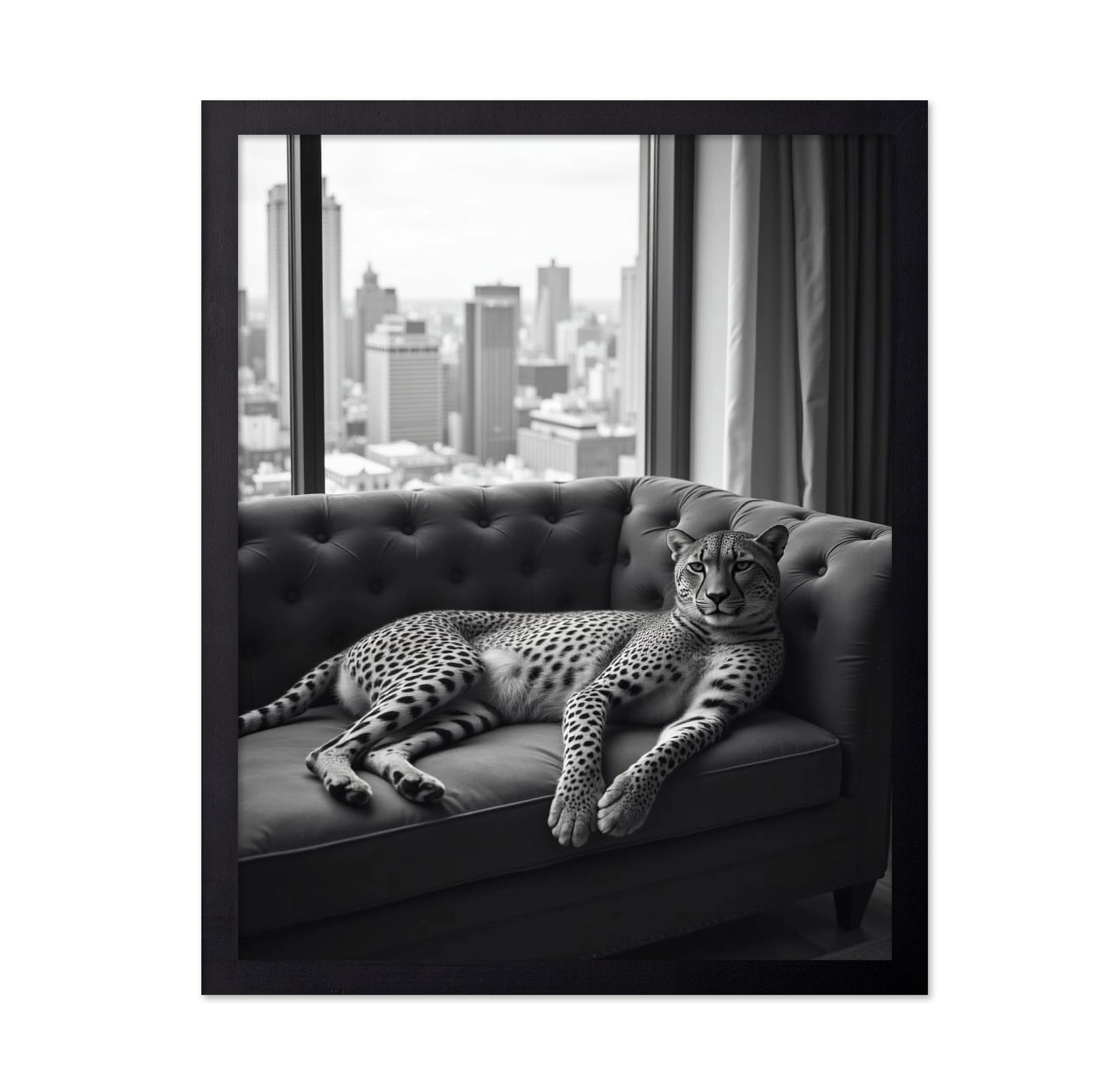 Cheetah on the Sofa