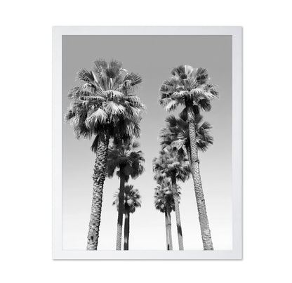 Palms Against the Endless Sky