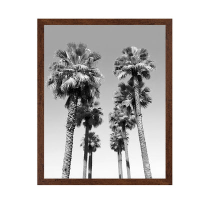 Palms Against the Endless Sky