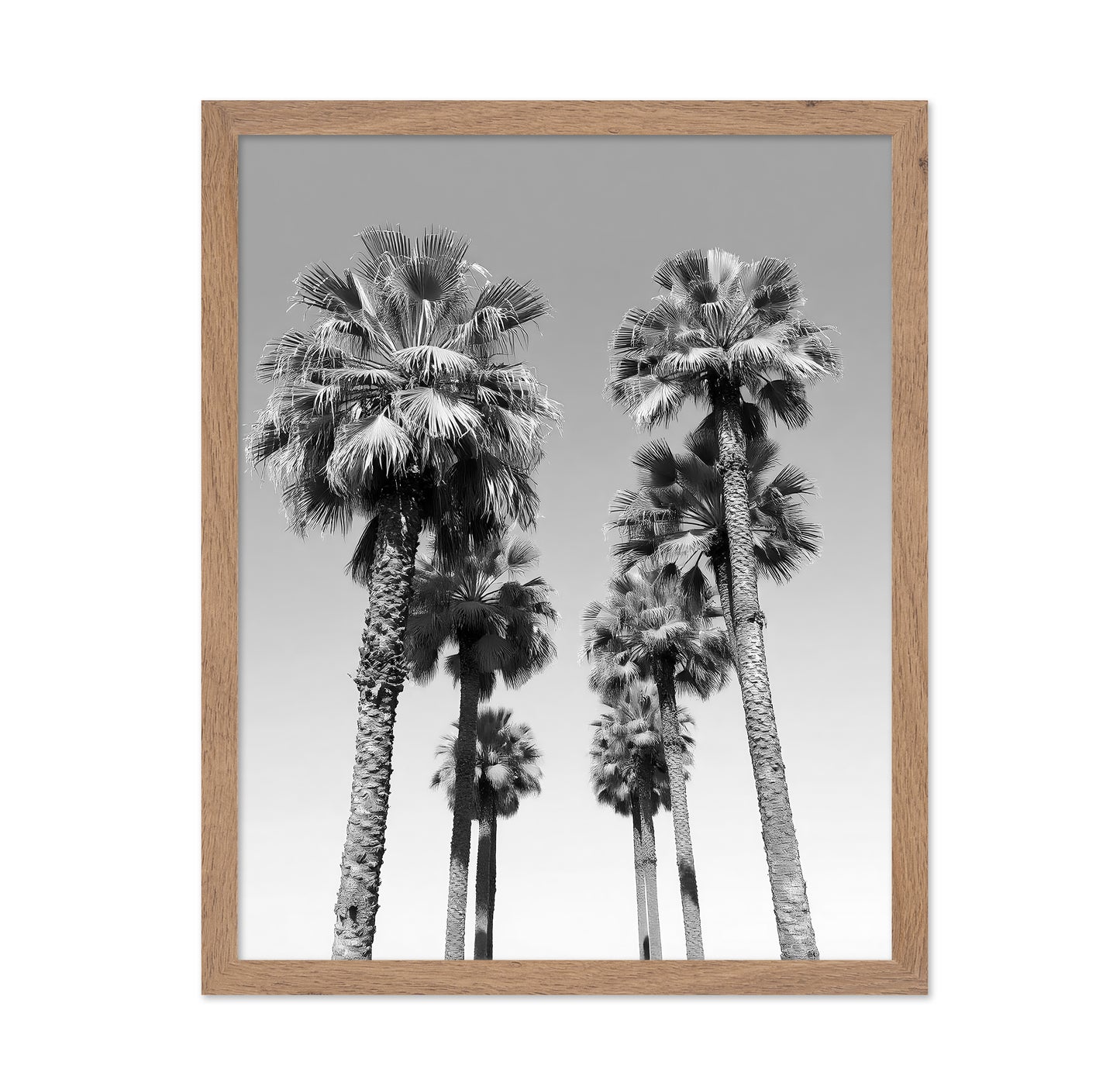 Palms Against the Endless Sky