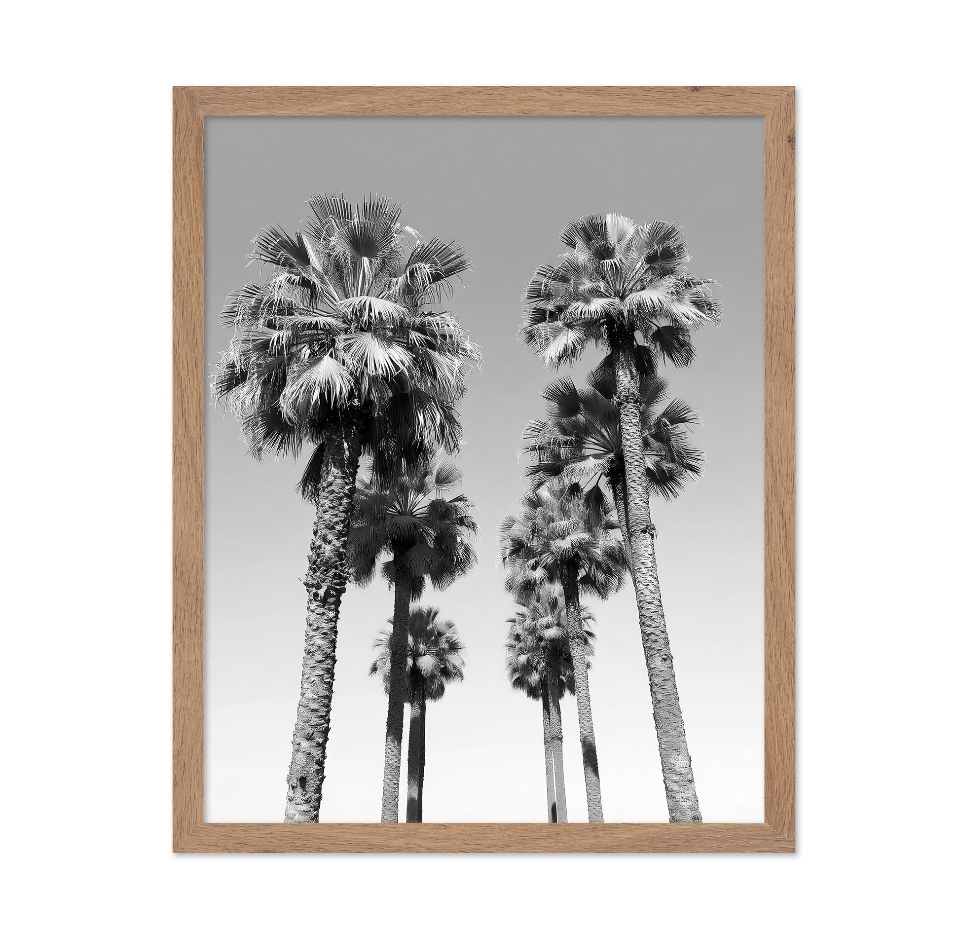 Palms Against the Endless Sky