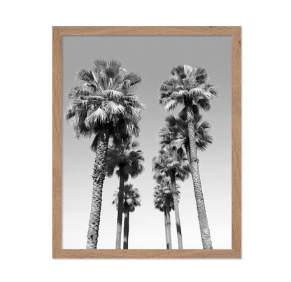 Palms Against the Endless Sky