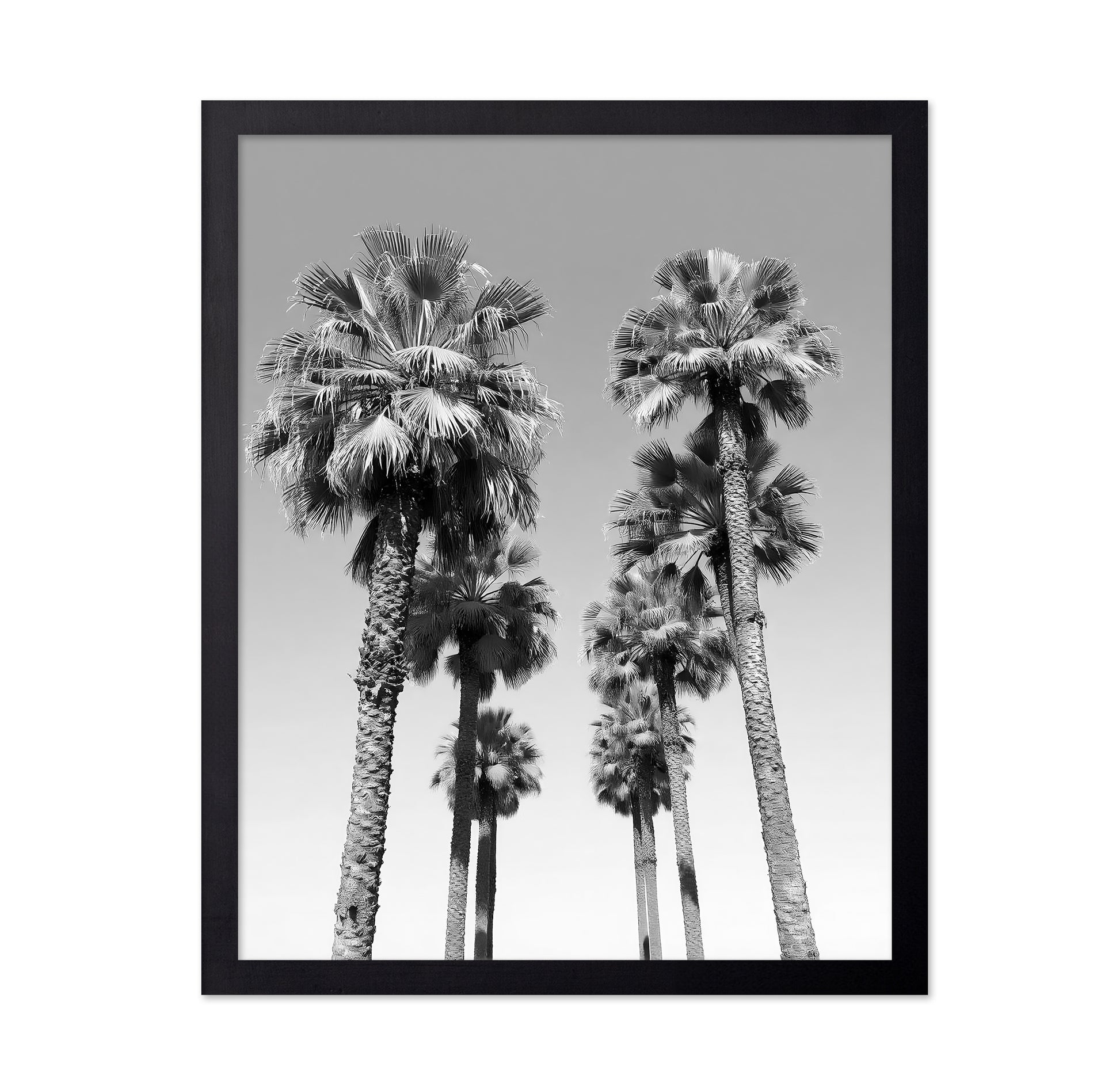 Palms Against the Endless Sky