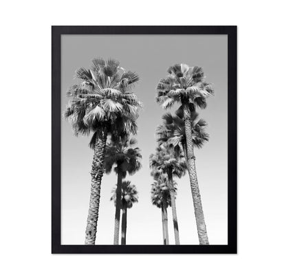 Palms Against the Endless Sky