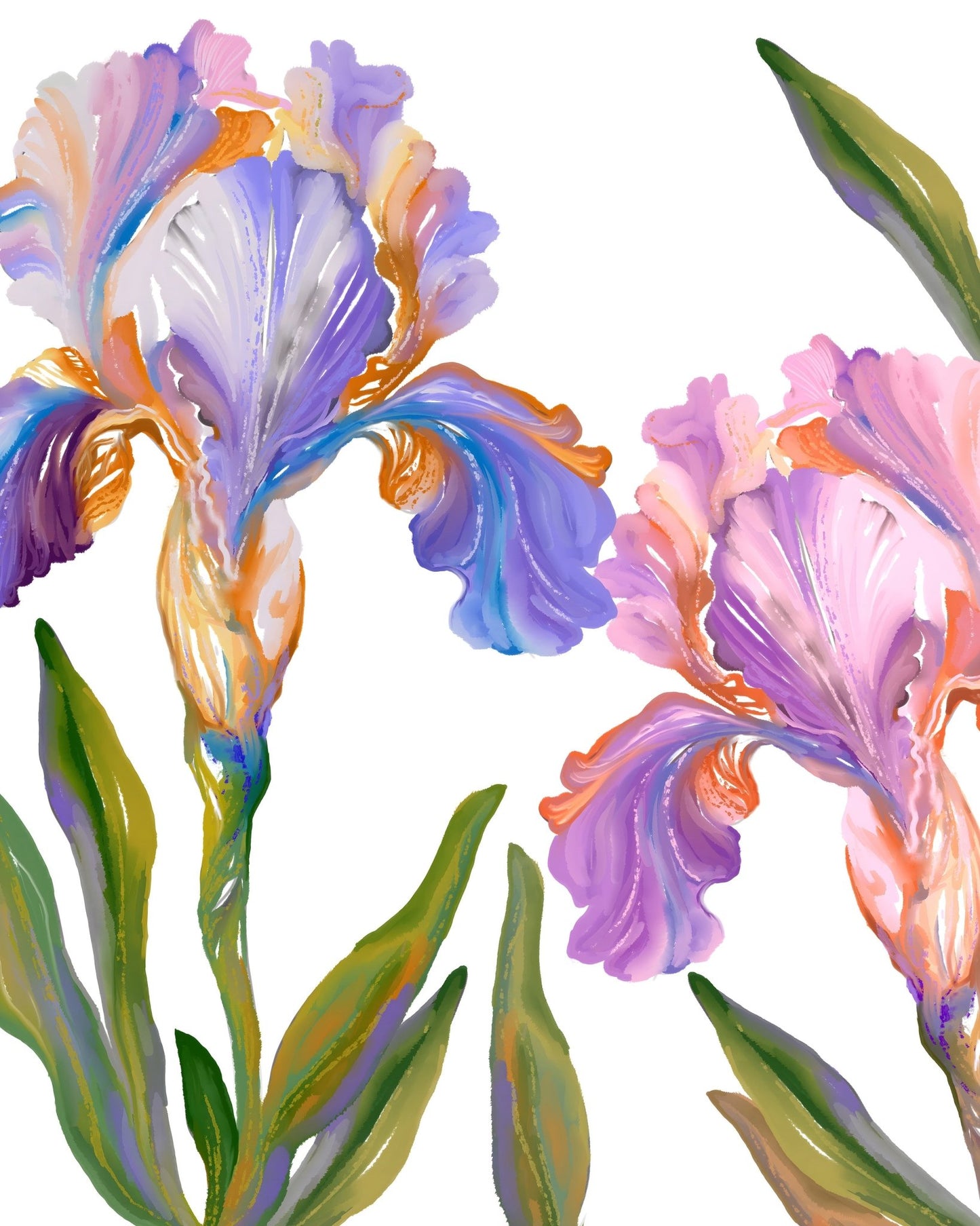 Watercolor Iris
