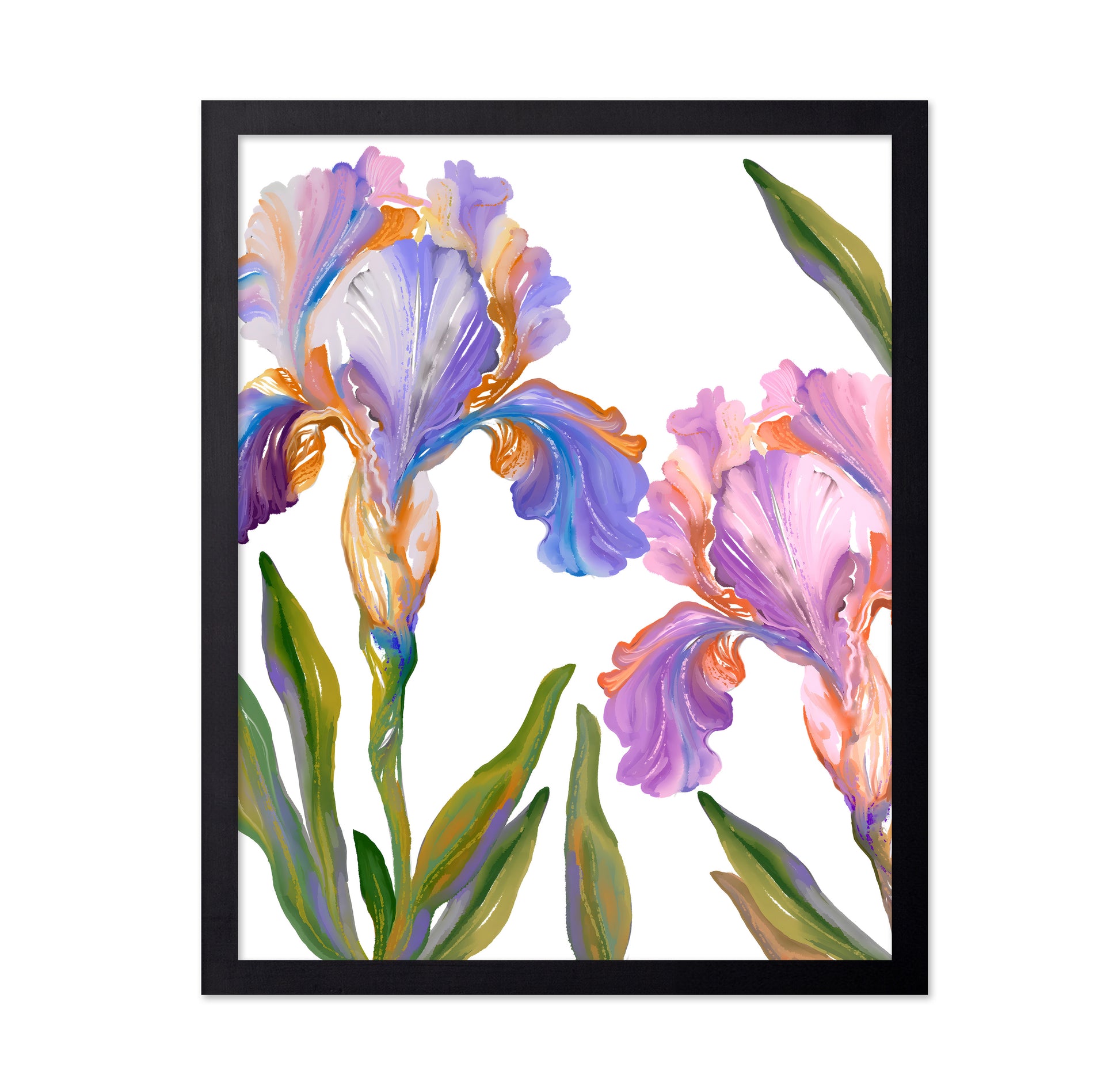Watercolor Iris