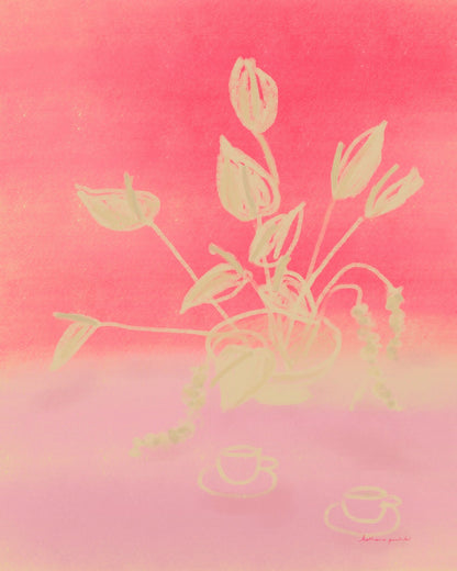 Raspberry Dream