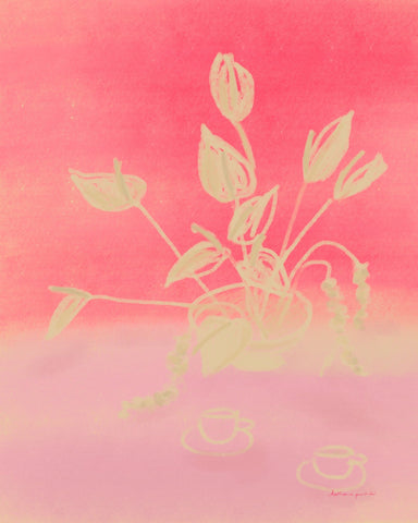 Raspberry Dream