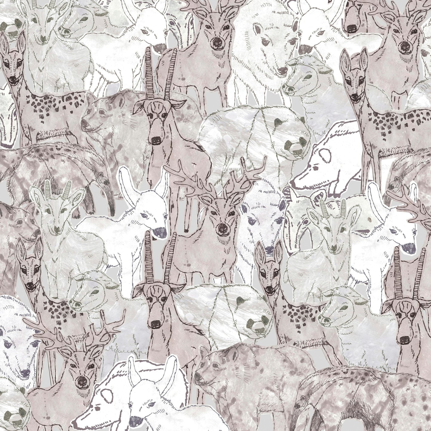 Animals