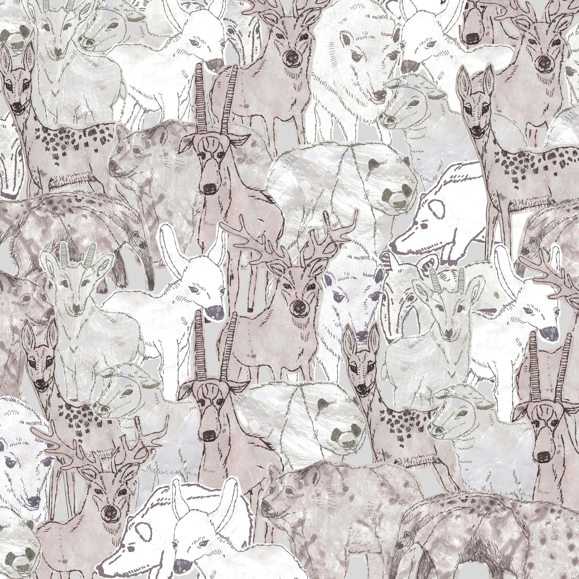 Animals