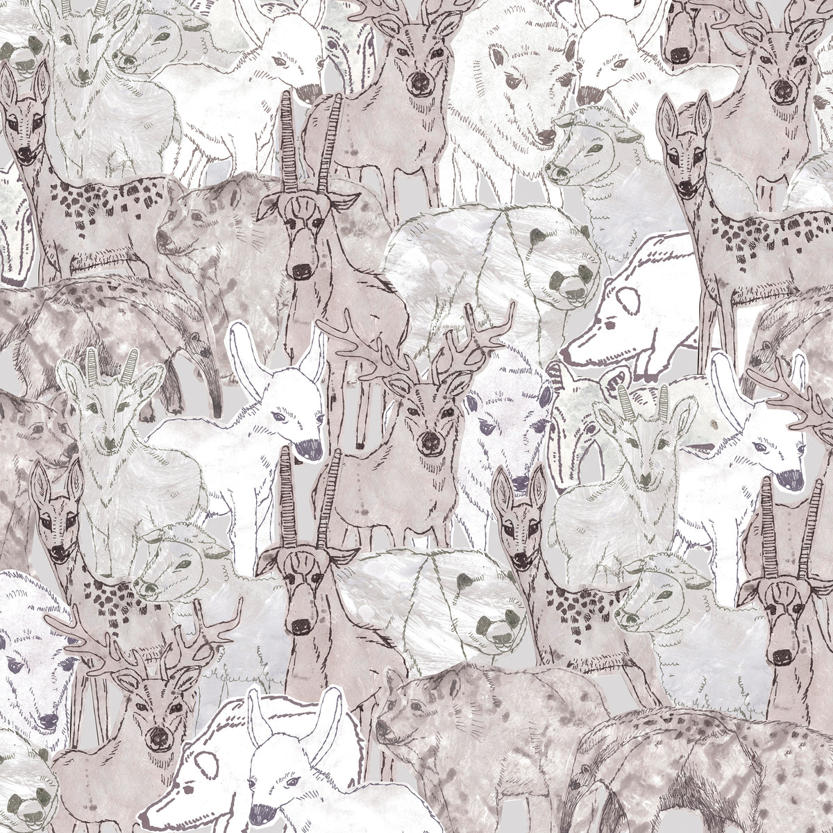 Animals