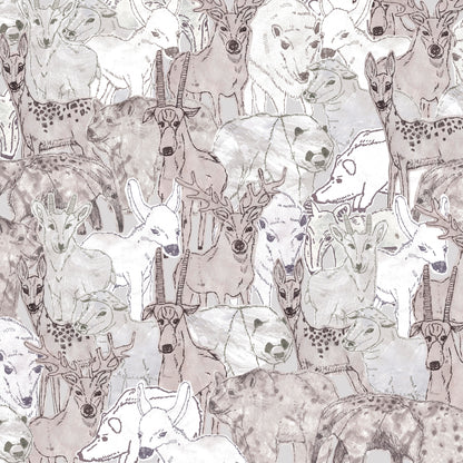 Animals