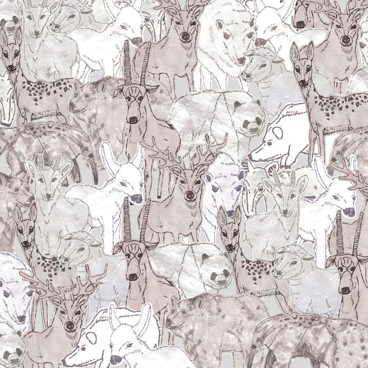 Animals