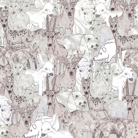 Animals