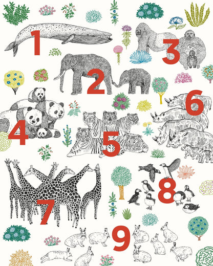 Numbers