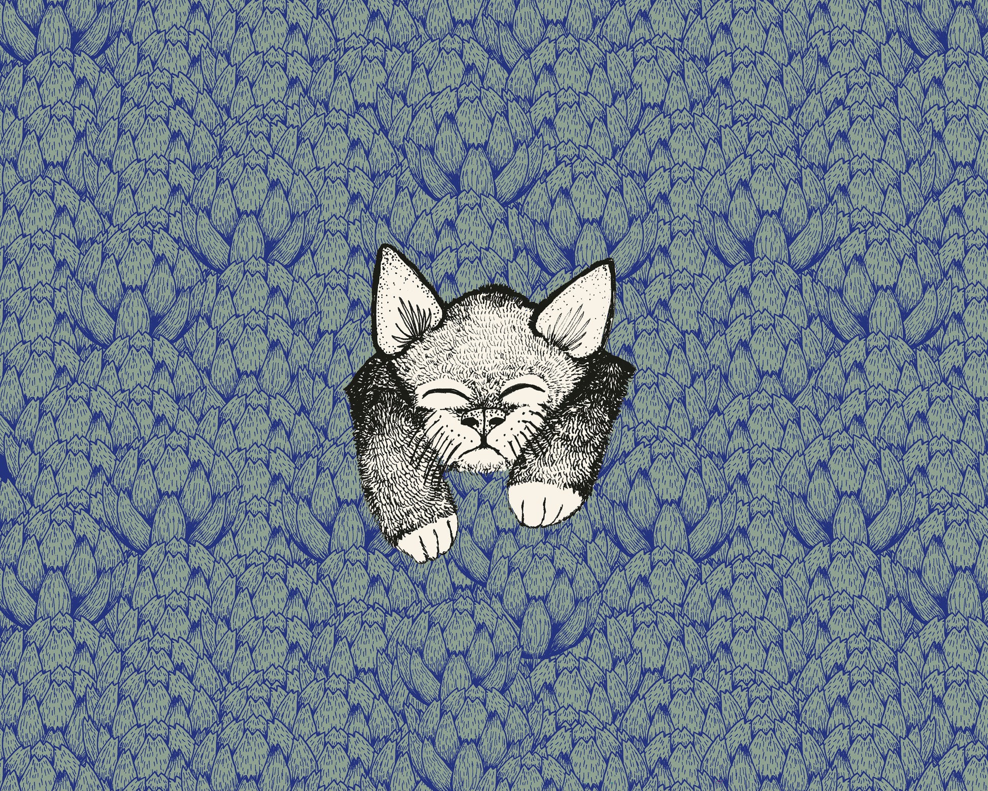 Kitten