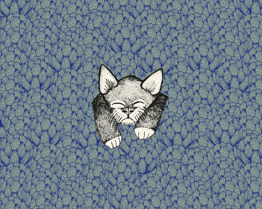Kitten