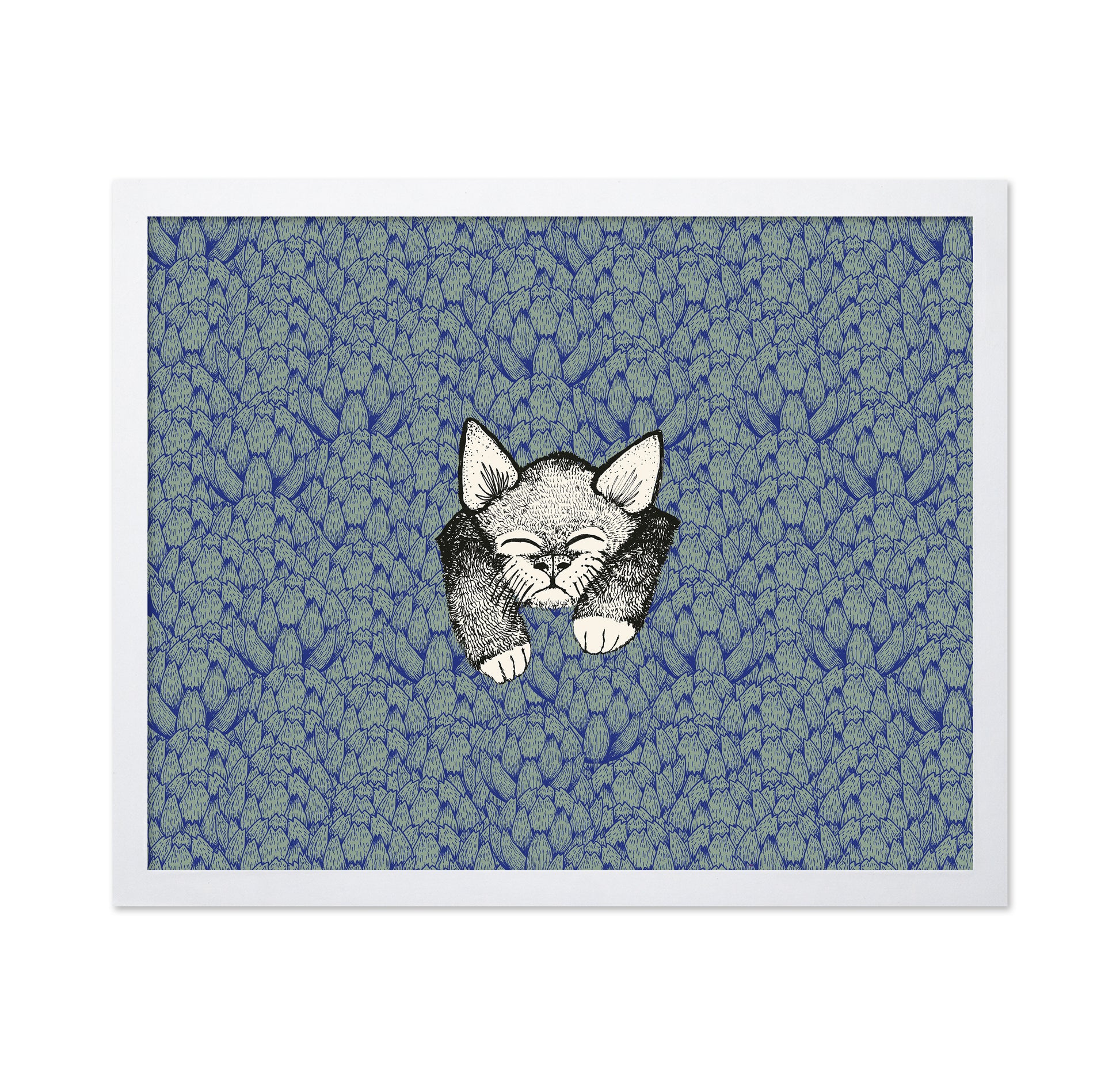Kitten