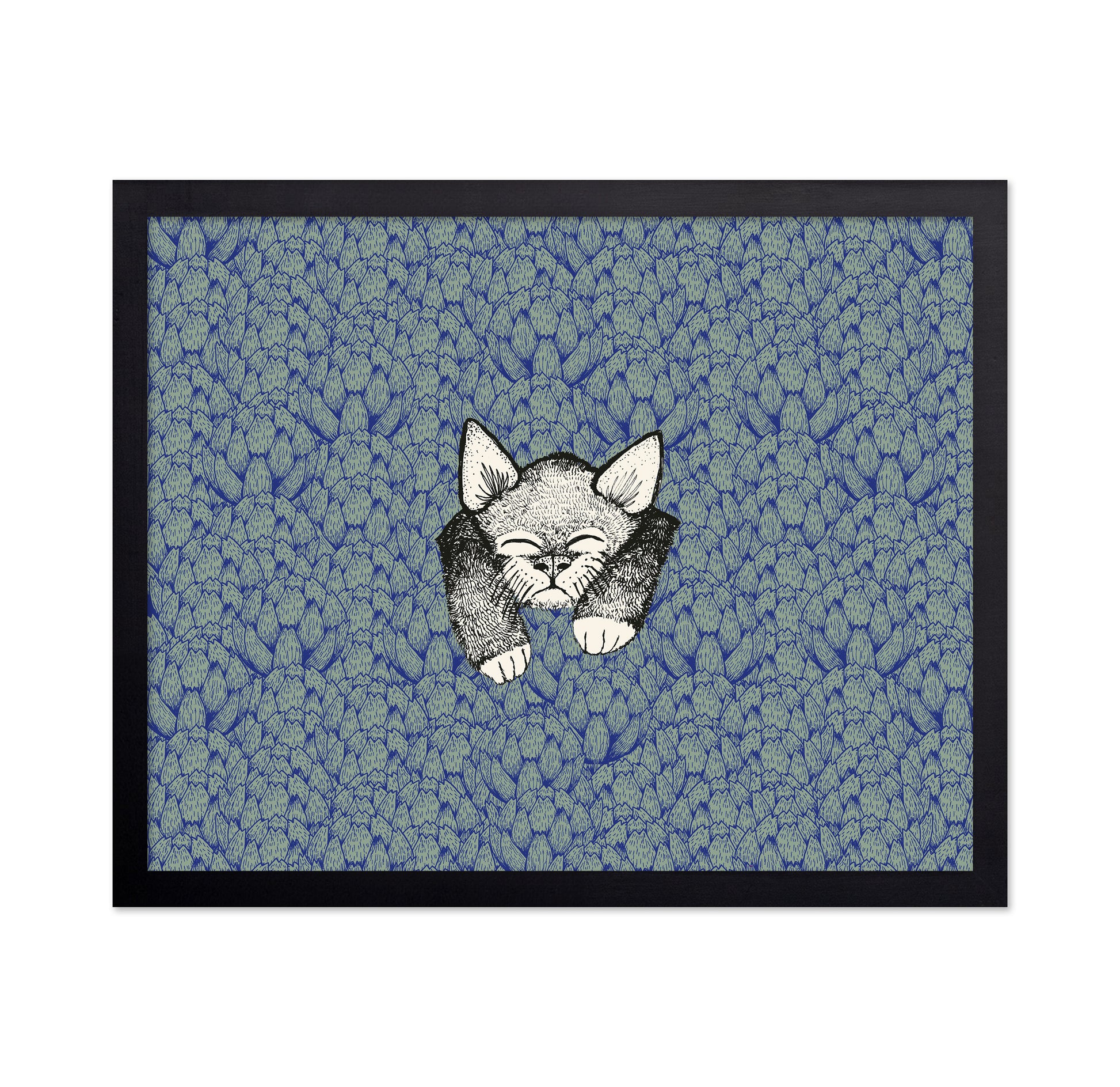 Kitten