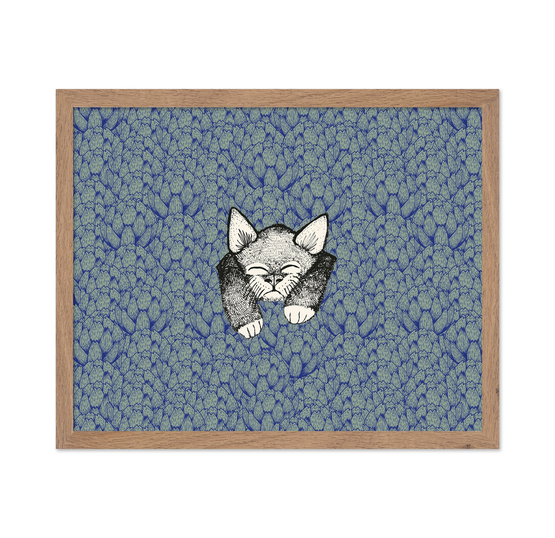 Kitten