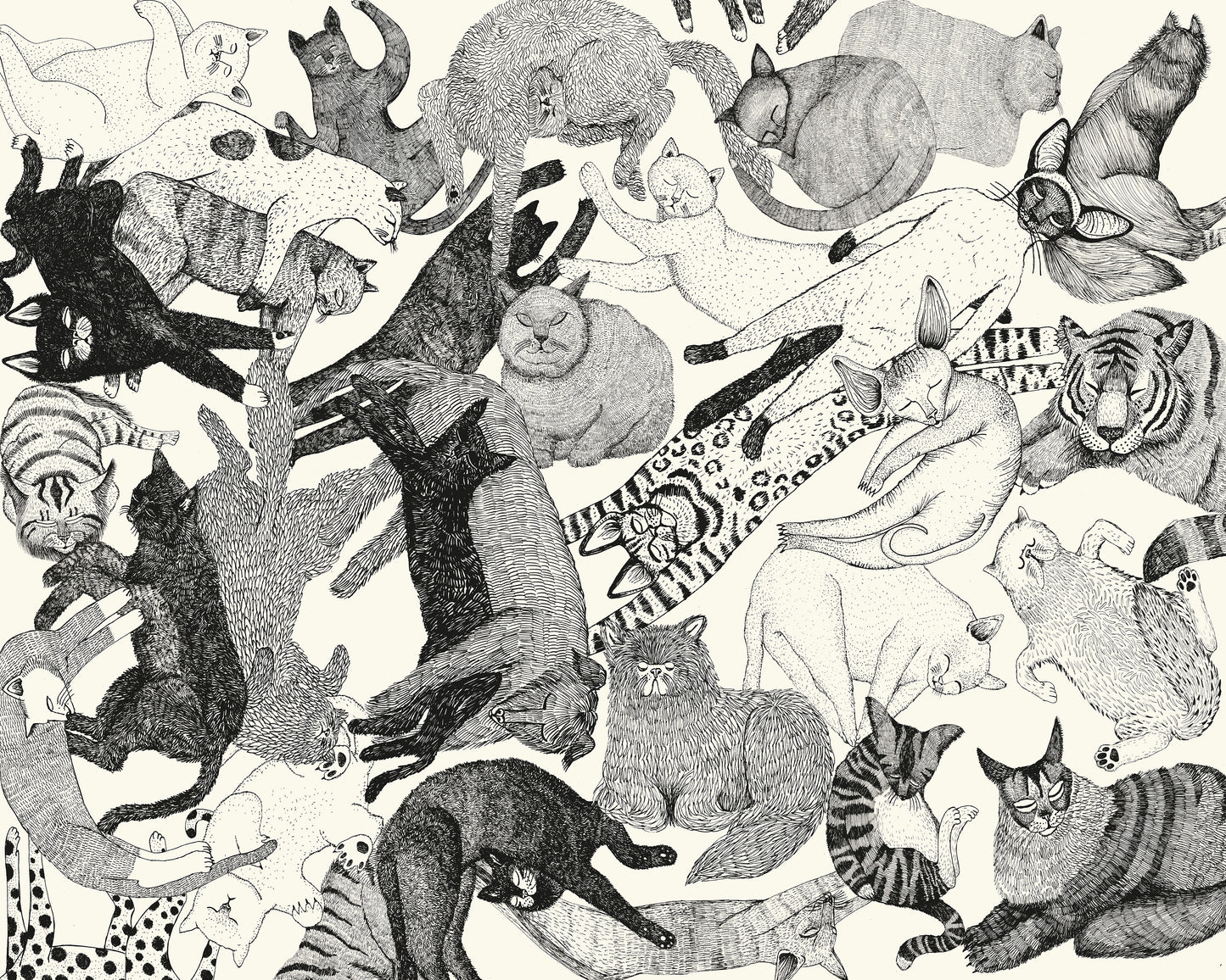 Cats