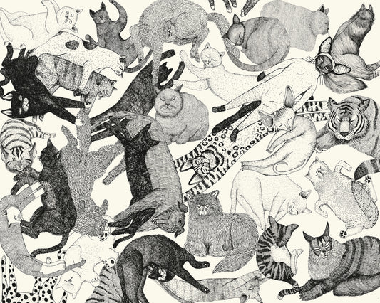 Cats