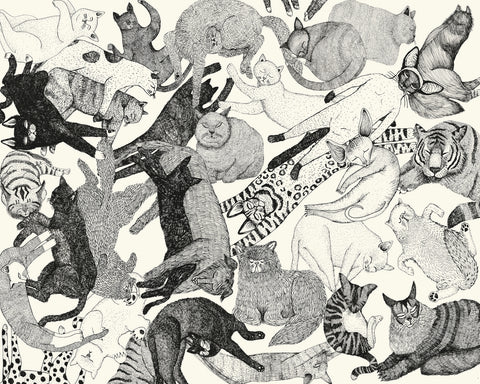 Cats