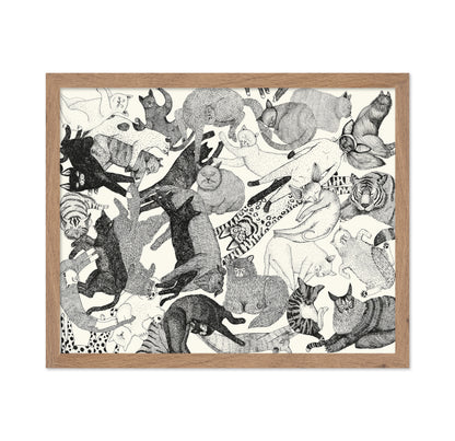 Cats