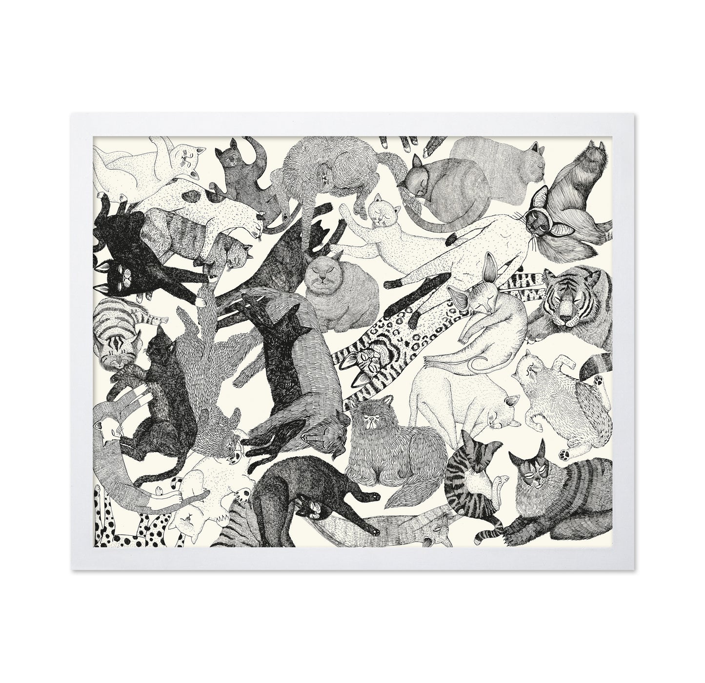 Cats