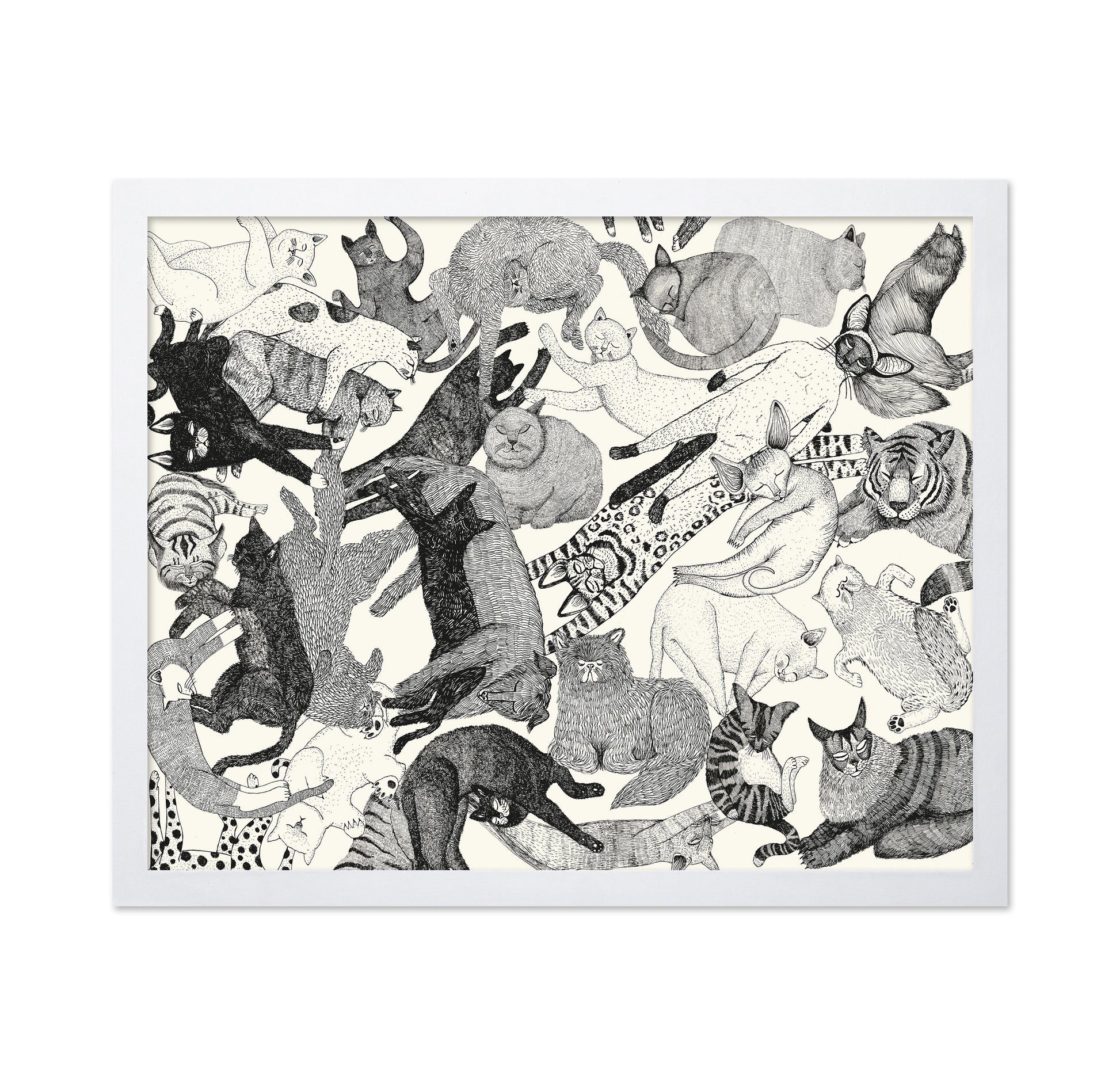 Cats