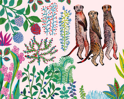 Meerkats