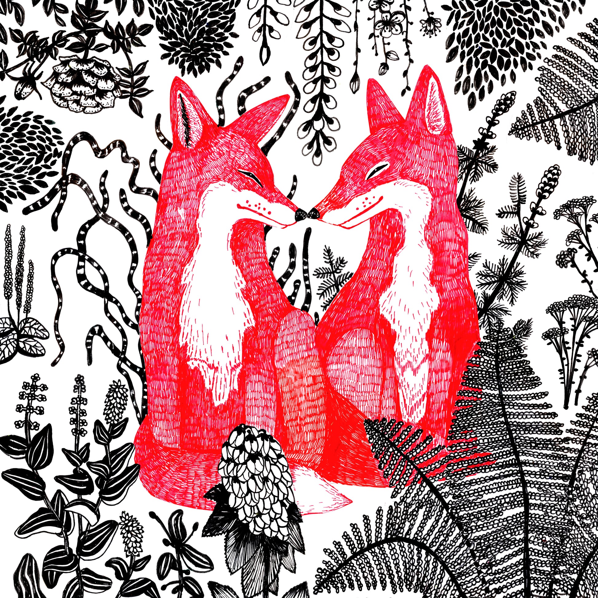 Foxes