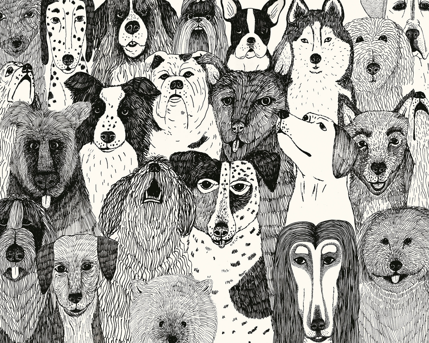 Dogs