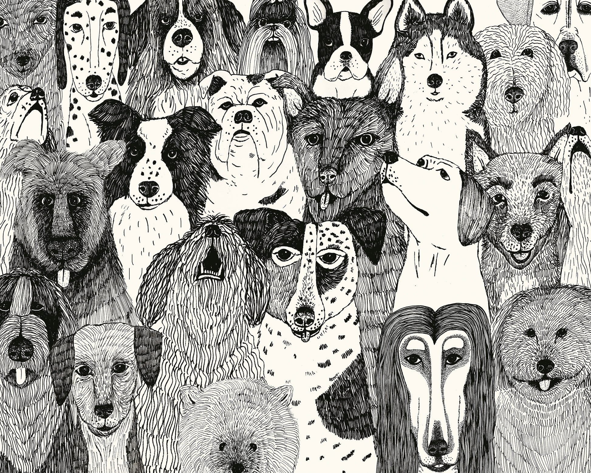 Dogs