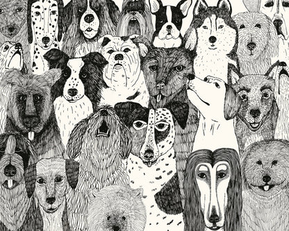 Dogs