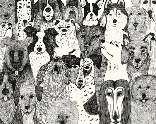 Dogs