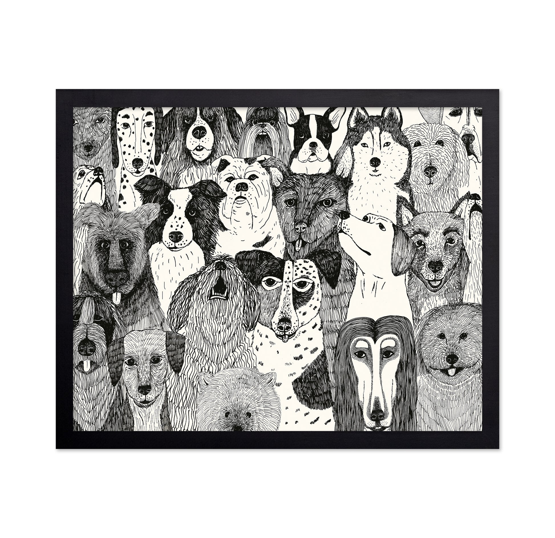 Dogs