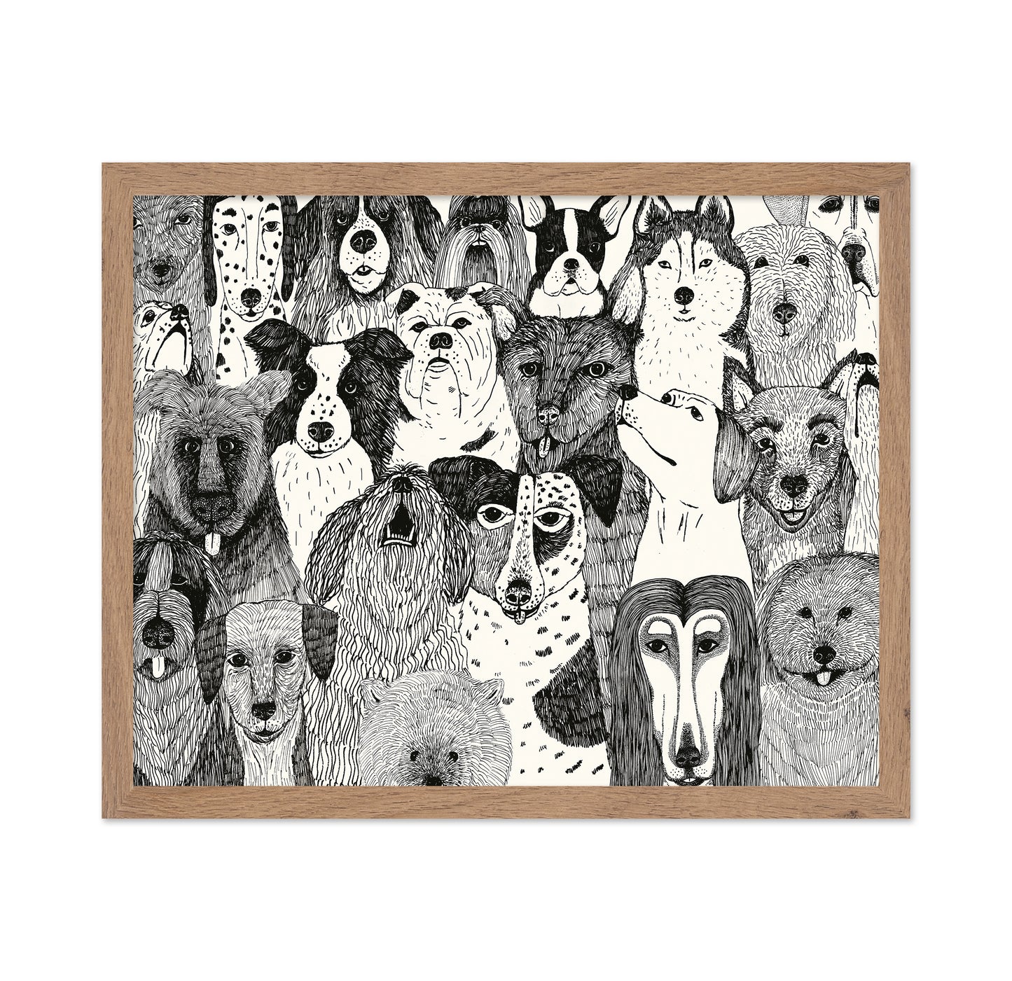 Dogs