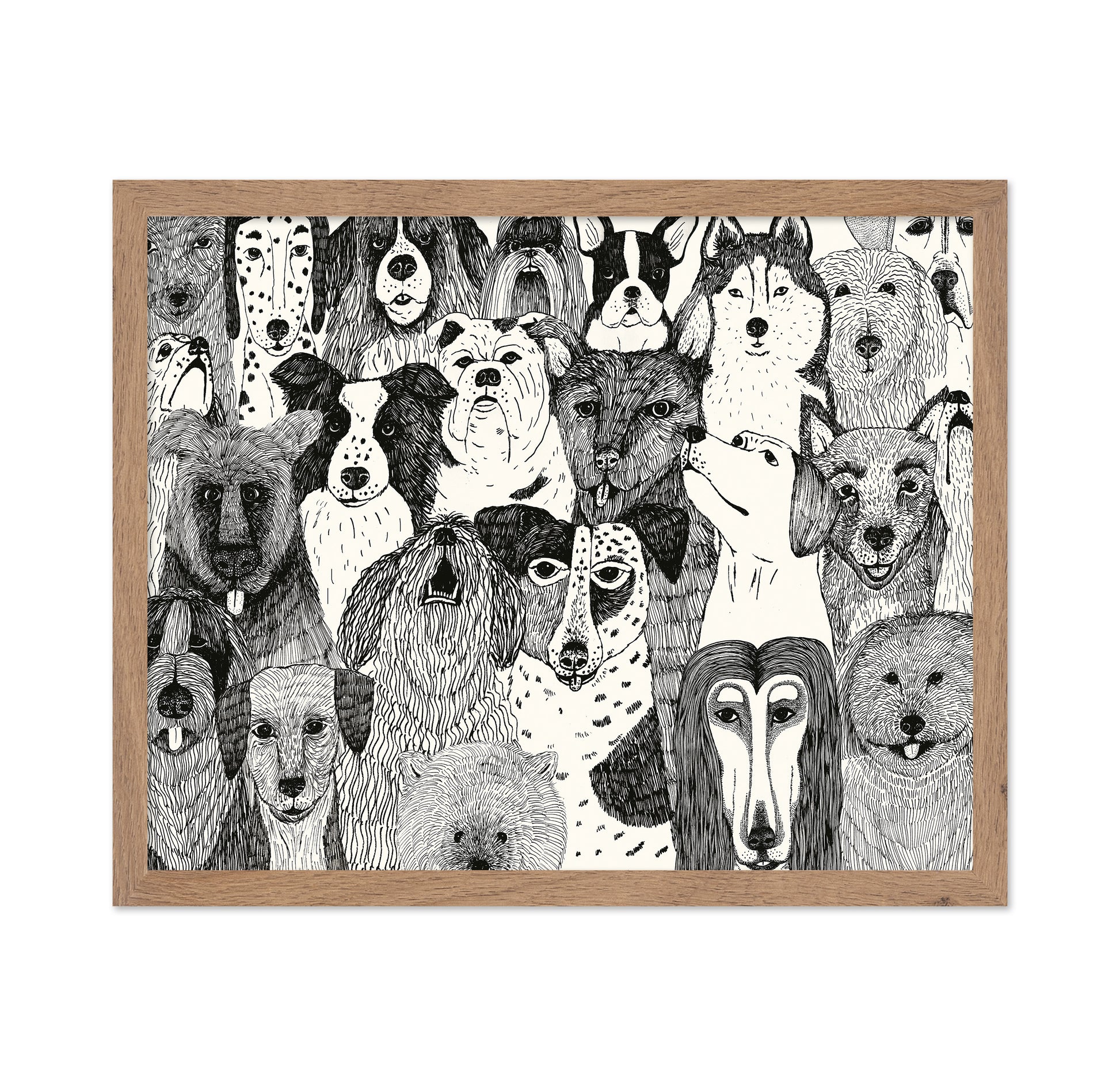 Dogs