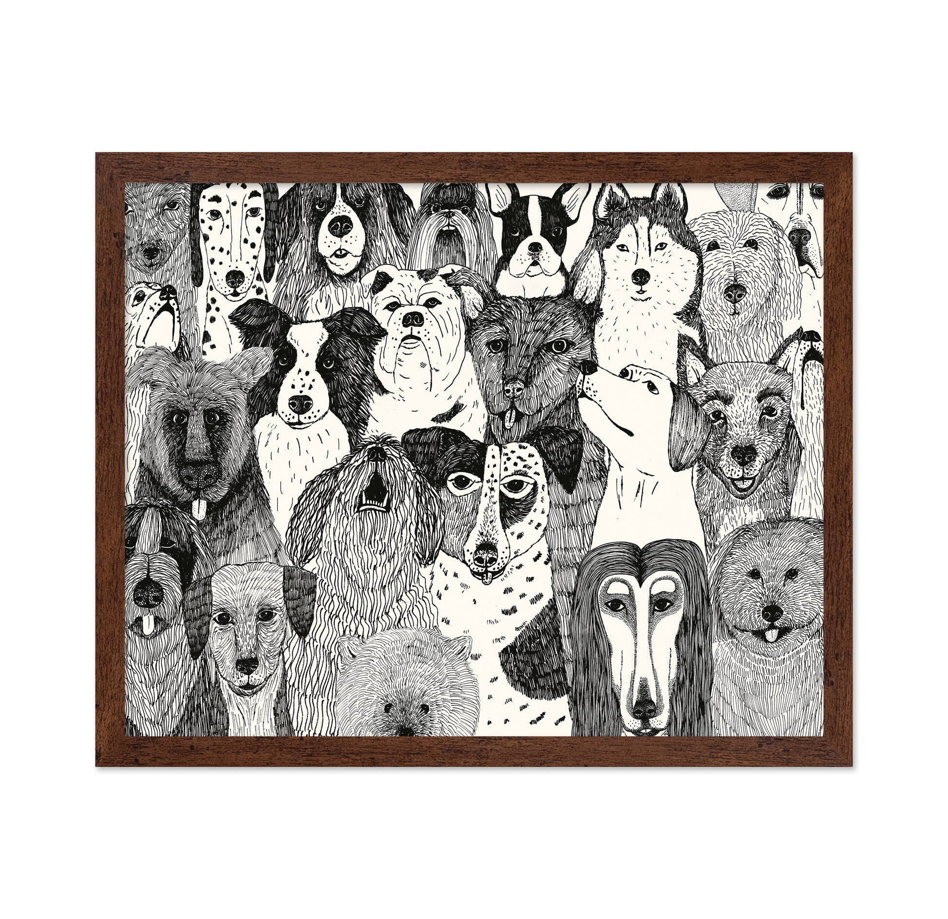 Dogs