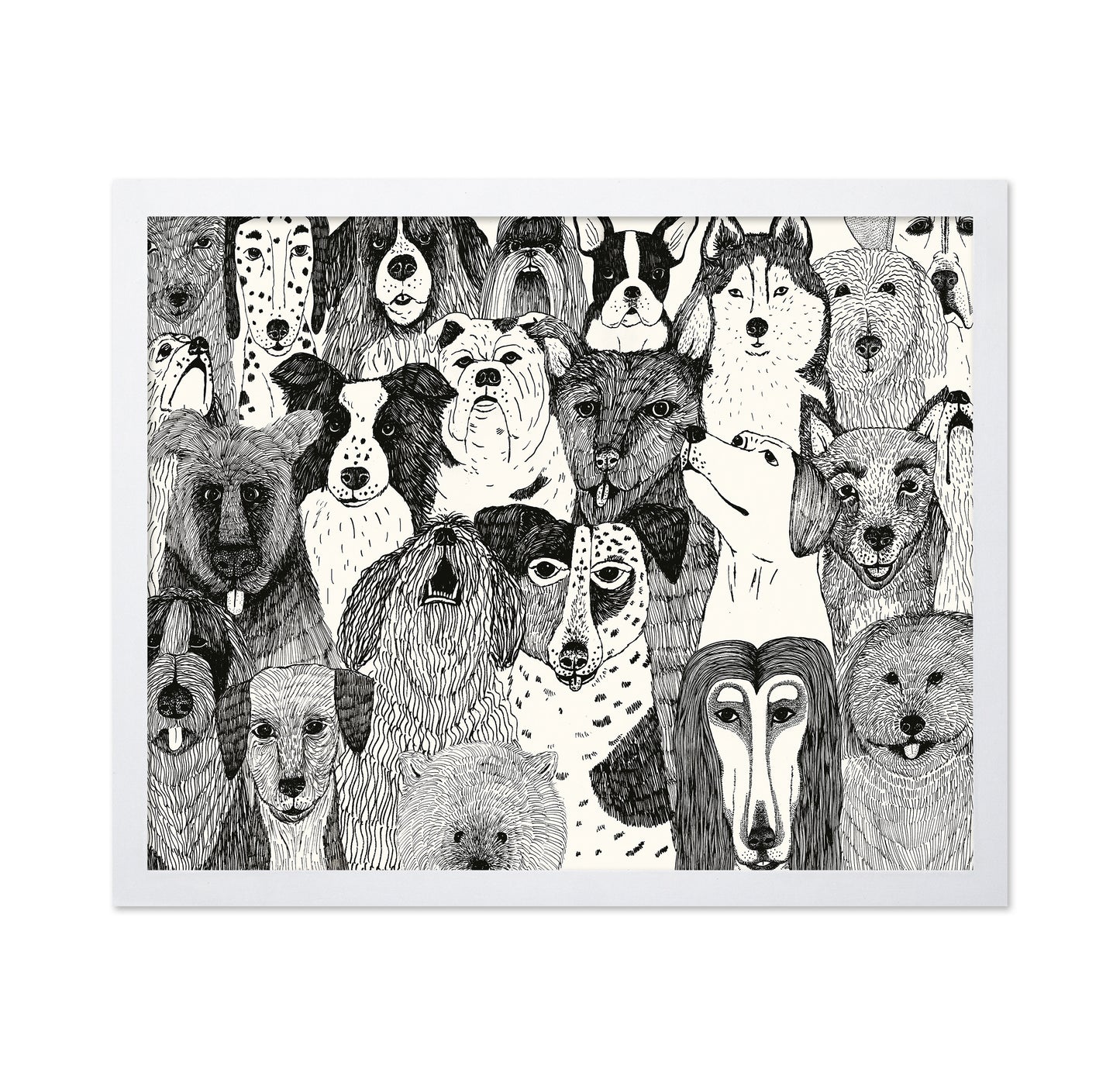 Dogs