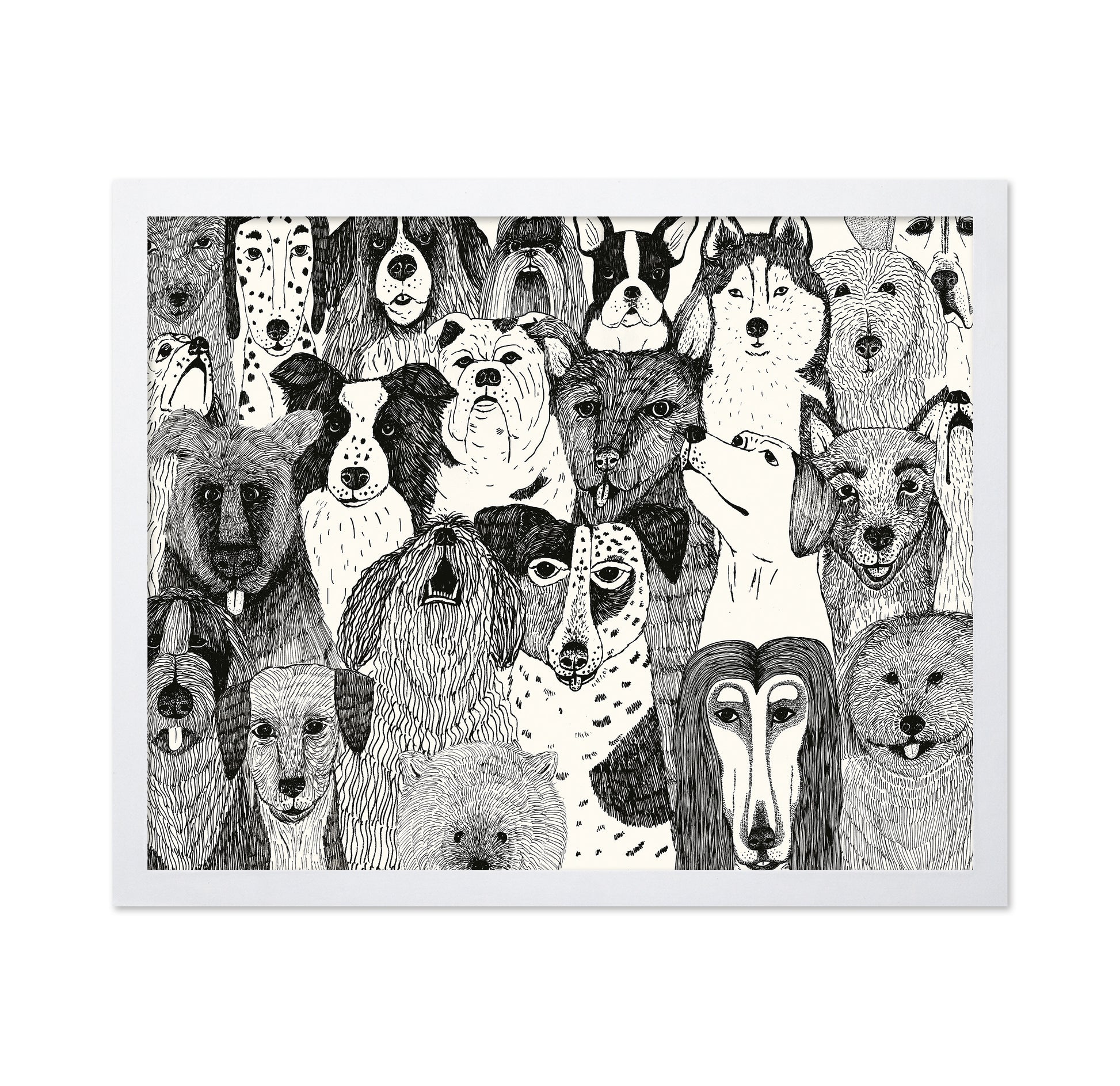 Dogs