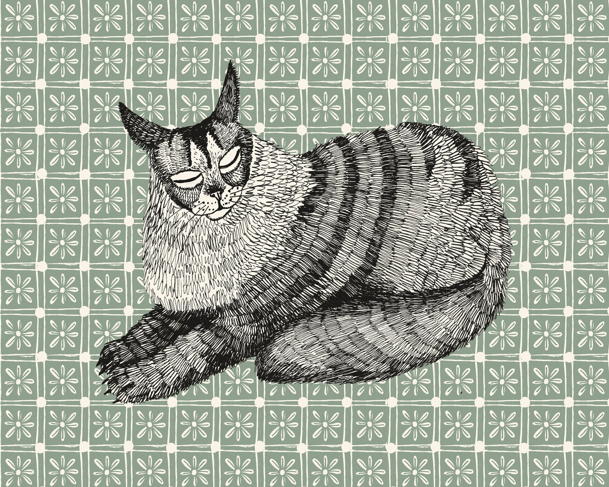 Maine Coon