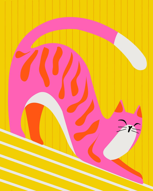 Snoozing Whiskers Bright Adorable Cat