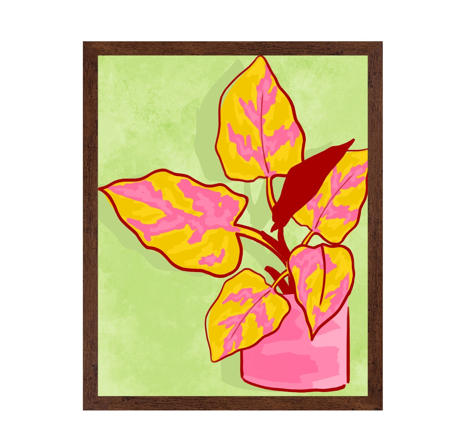 Spring Garden