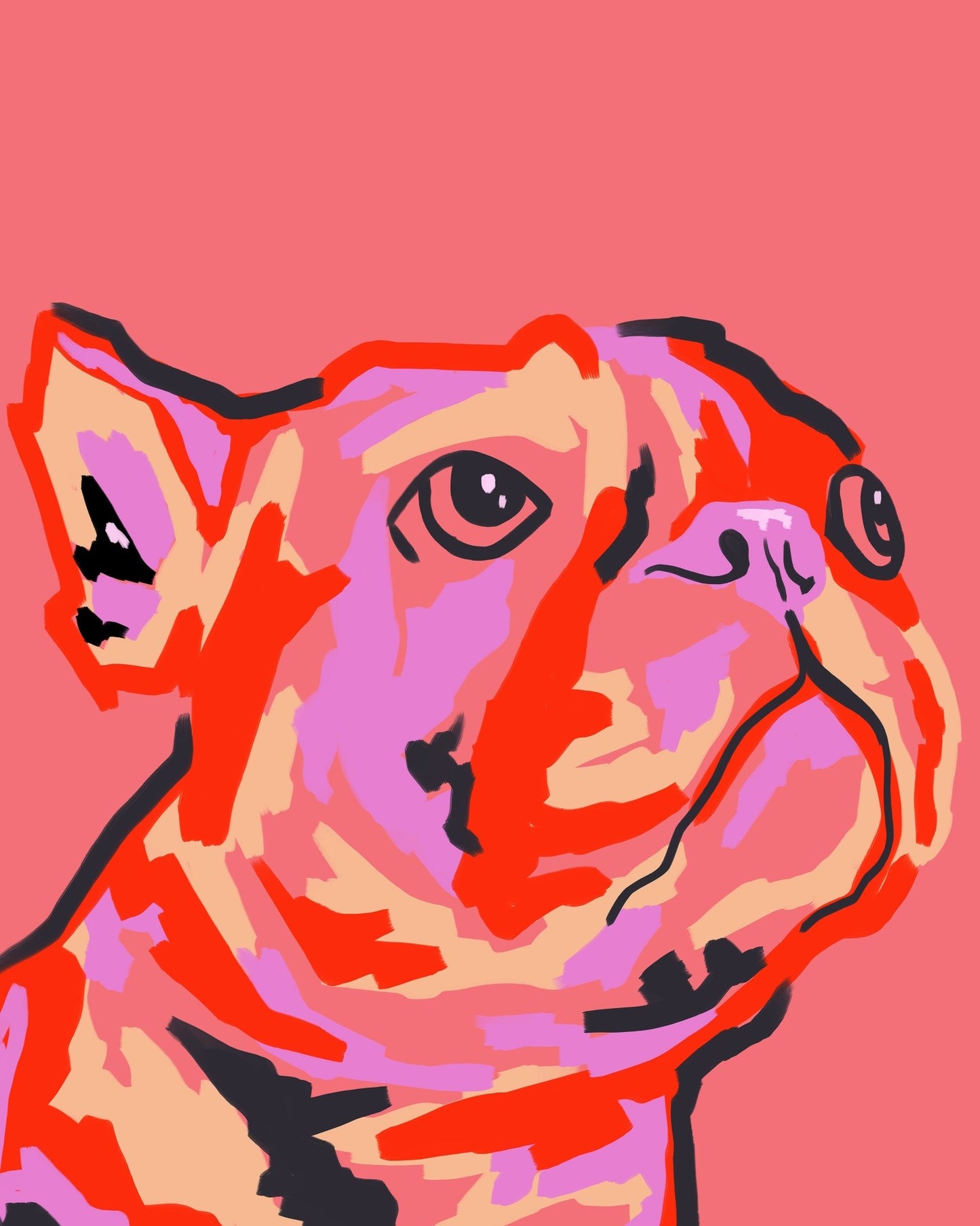 Pawsitively Patched