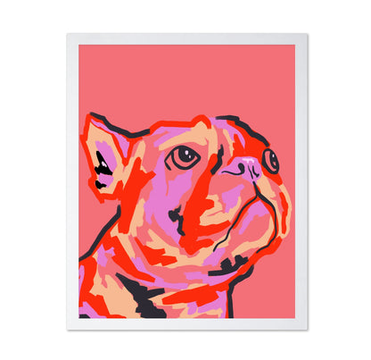 Pawsitively Patched