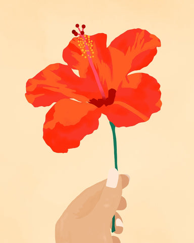 Hibiscus Affection