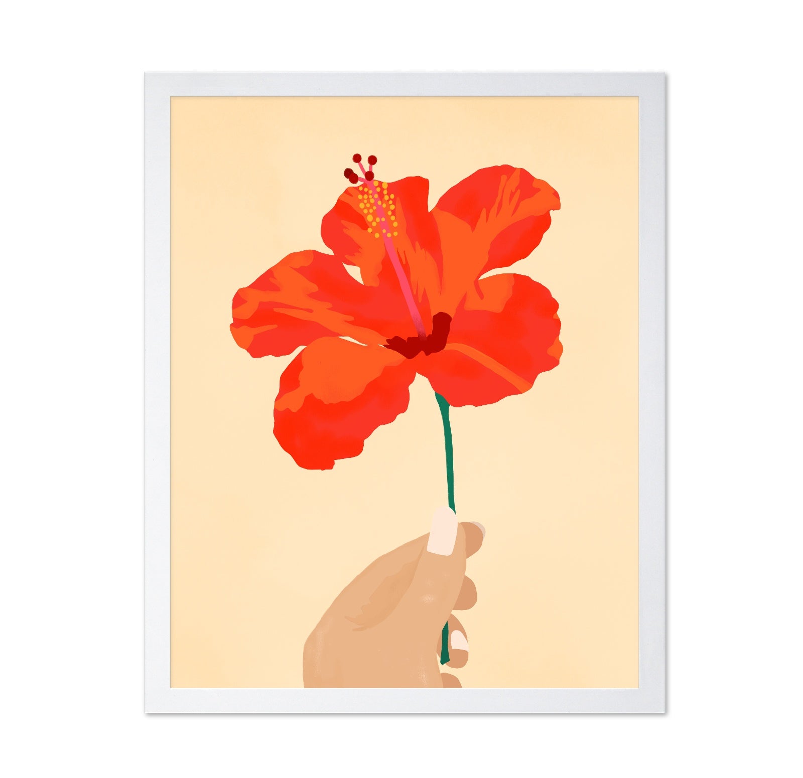 Hibiscus Affection