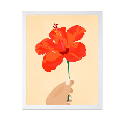 Hibiscus Affection